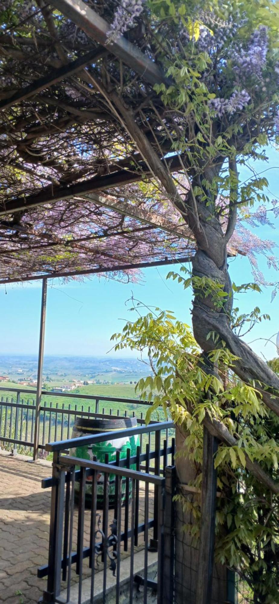 Casa Vacanza Il Colle Del Vento Calosso Exterior foto